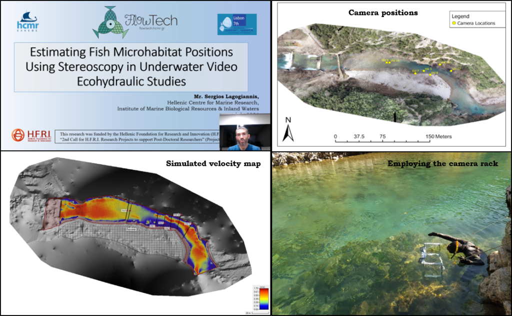 Estimating Fish Microhabitat Positions Using Stereoscopy in Underwater Video Ecohydraulic Studies