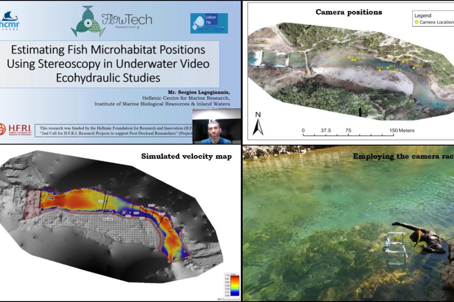 Estimating Fish Microhabitat Positions Using Stereoscopy in Underwater Video Ecohydraulic Studies